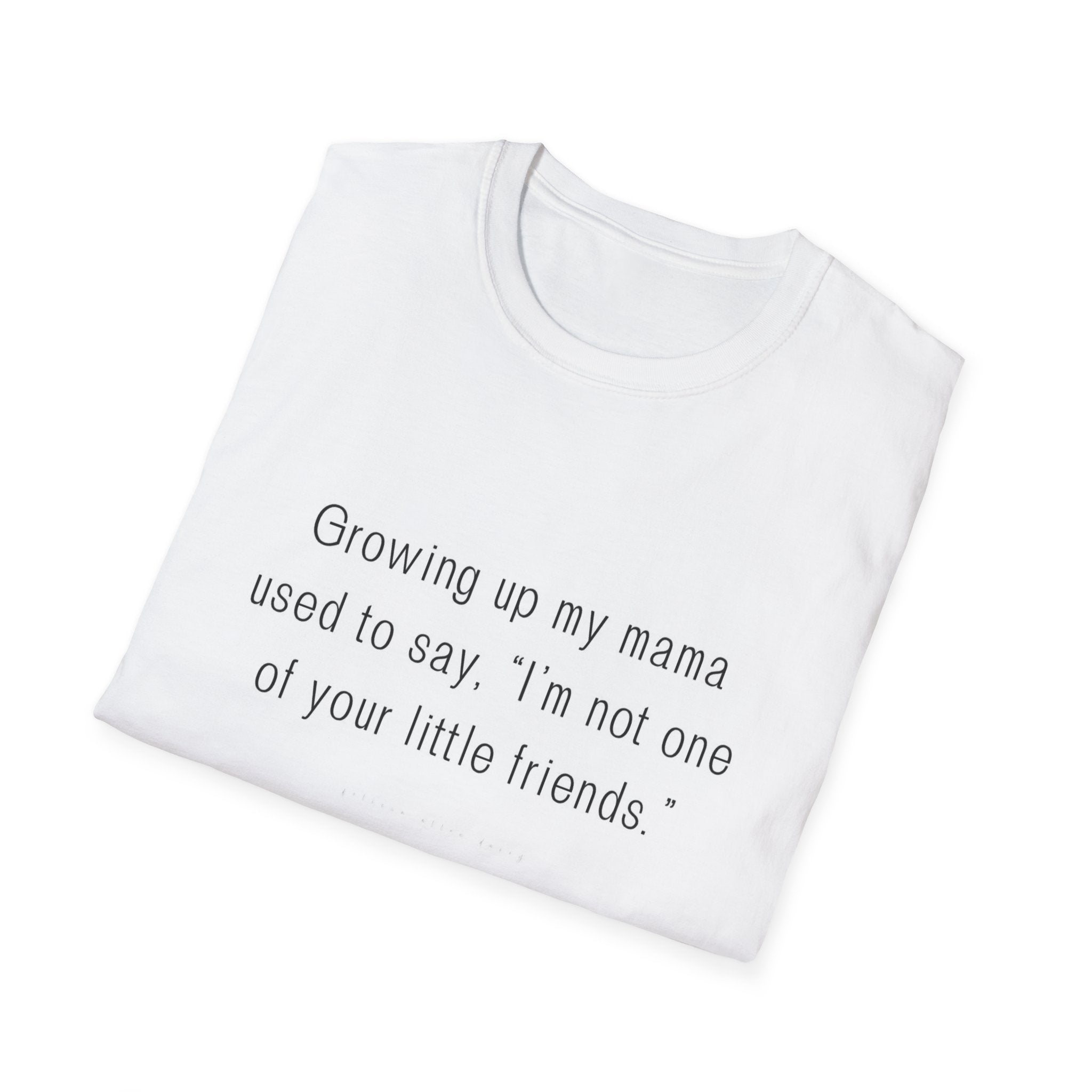 Copy of Copy of Unisex Softstyle T-Shirt